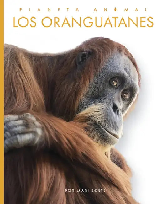 Buy Los Oranguatanes (English, Mari Bolte) — BookShops.in