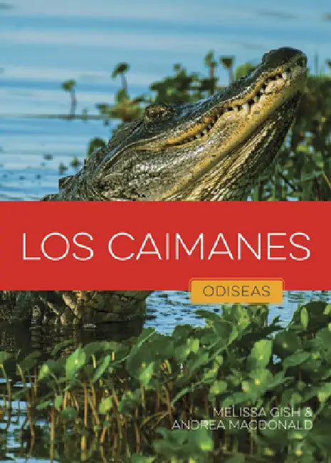 Buy Los Caimanes (English, Melissa Gish | Andrea MacDonald) — BookShops.in