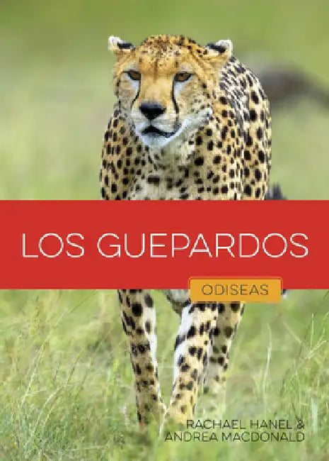 Buy Los Guepardos (English, Rachael Hanel | Andrea MacDonald) — BookShops.in