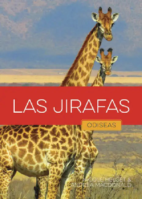 Buy Las Jirafas (English, Nicole Helget | Andrea MacDonald) — BookShops.in