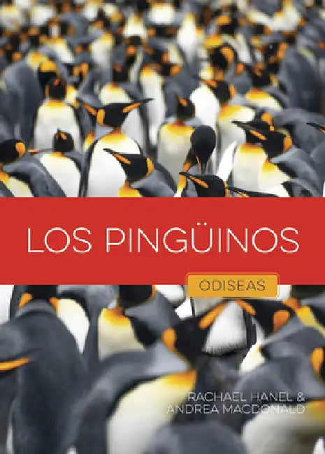 Buy Los Pingüinos (English, Rachael Hanel | Andrea MacDonald) — BookShops.in