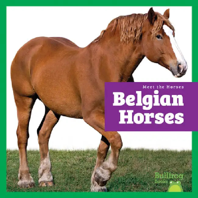Buy Belgian Horses (English, Rachel Grack) — BookShops.in