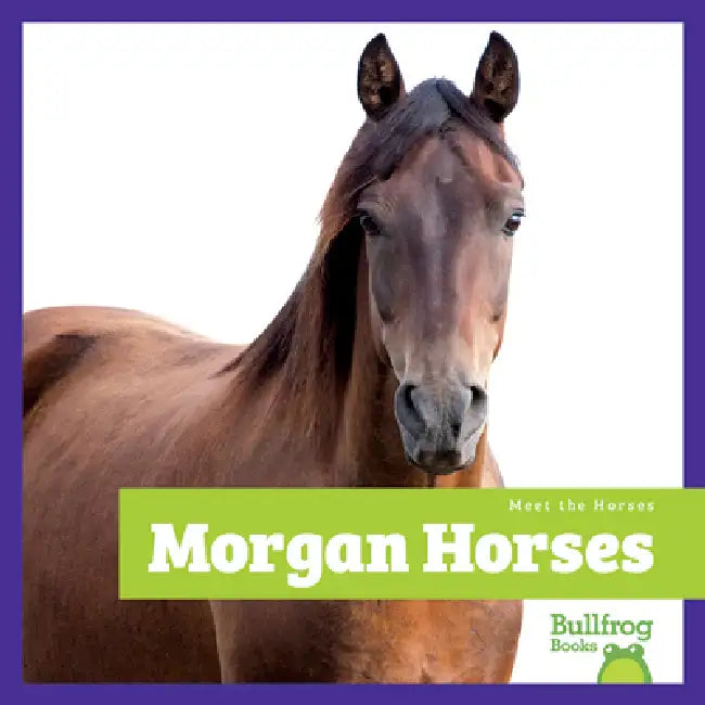 Buy Morgan Horses (English, Rachel Grack) — BookShops.in