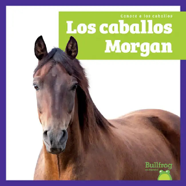 Buy Los Caballos Morgan (Morgan Horses) (English, Rachel Grack) — BookShops.in