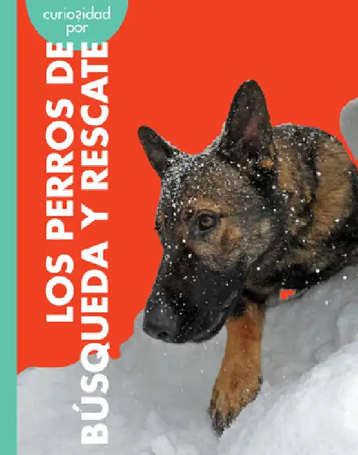 Buy Curiosidad Por Los Perros de Búsqueda Y Rescate (English, Cari Meister) — BookShops.in